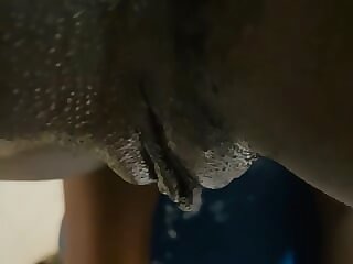 Love Sinister pussy ergo..